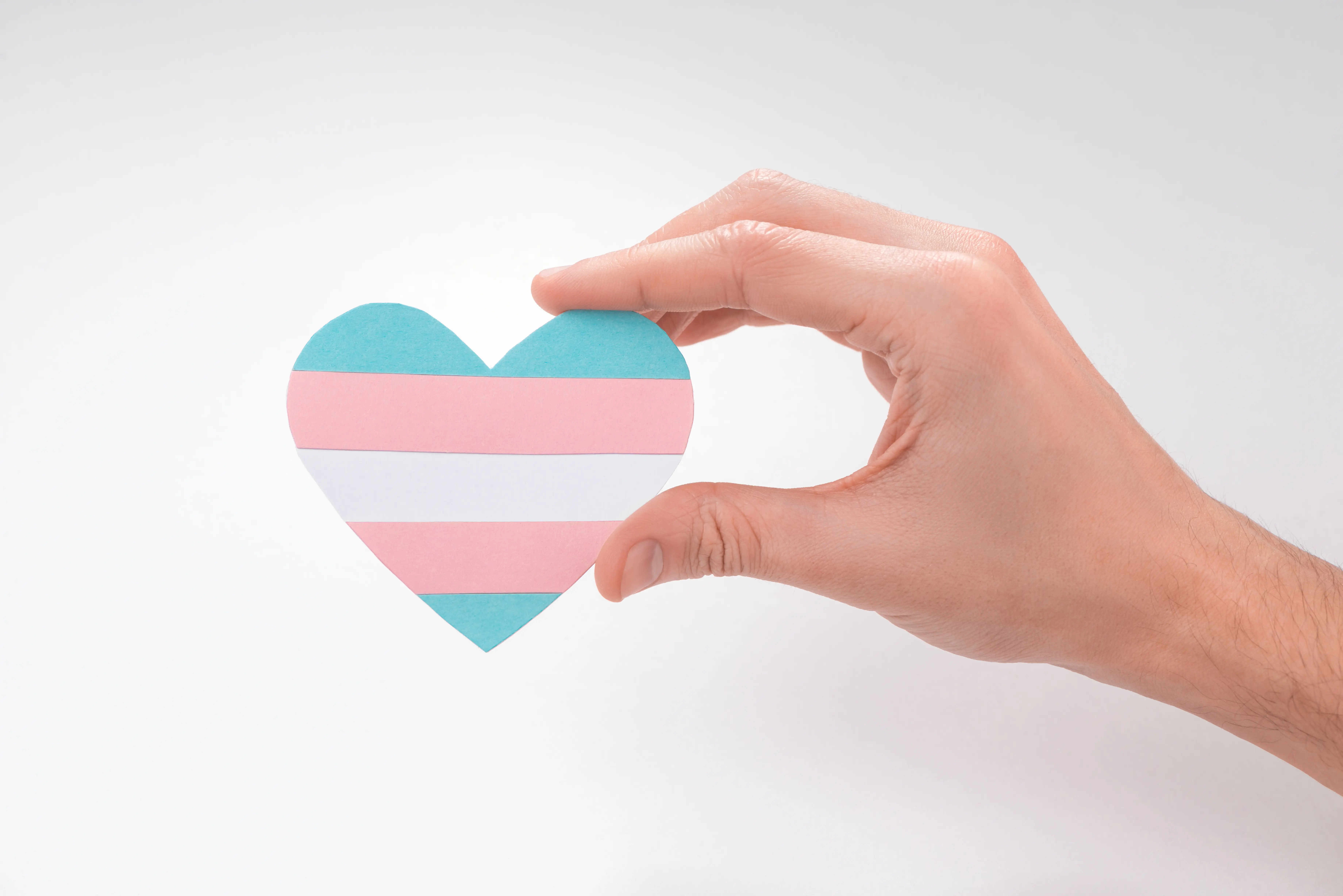transflag heart in a hand